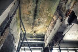 Best Mold Removal for HVAC Installations  in Swansea, IL